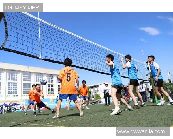 成都排球队在精英赛中的实力展现与战术分析 成都排球队在精英赛中的实力展现与战术分析