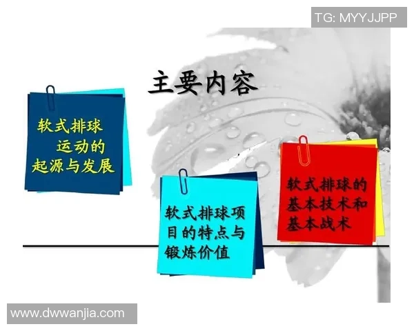 南京排球队的速度提升与战术创新探讨