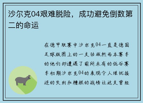 沙尔克04艰难脱险，成功避免倒数第二的命运